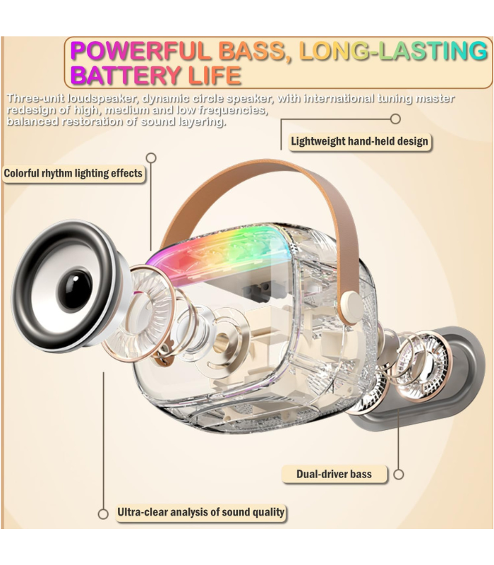 TANSICO Wireless Karaoke Speaker with Mic