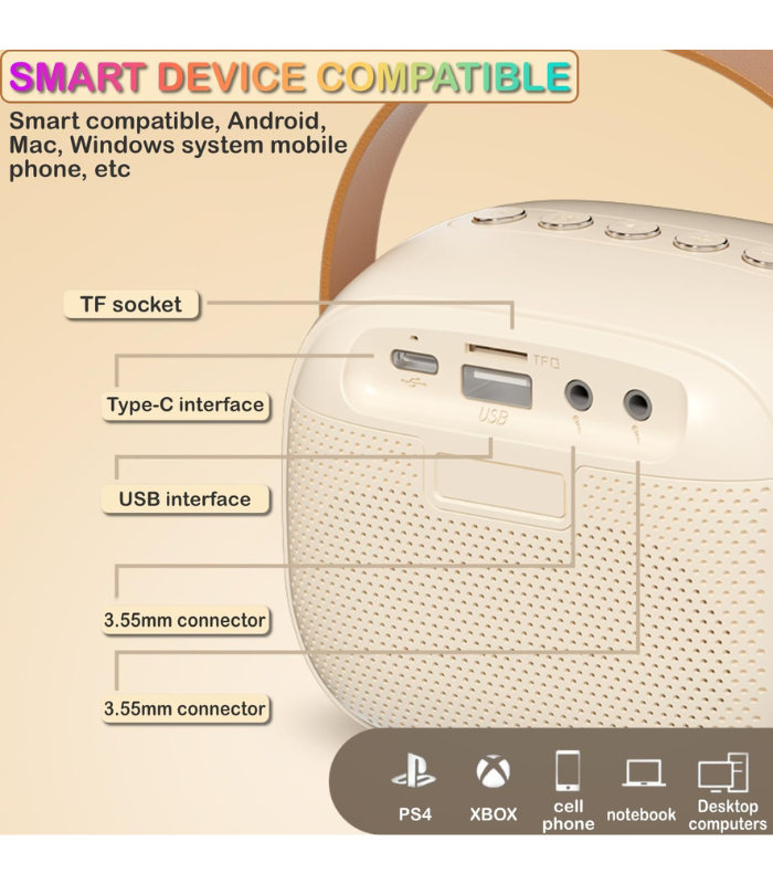 TANSICO Wireless Karaoke Speaker with Mic