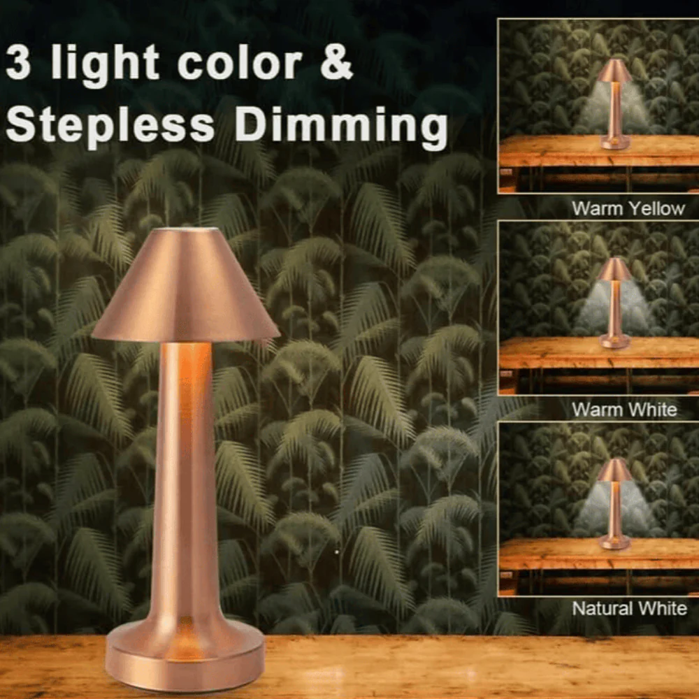 TANSICO LED Touch Desk Lamp with 3 Light Modes (Warm, Cool, Natural)